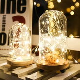 Cork Bottle Lights | LED Bottle Lights | shop71